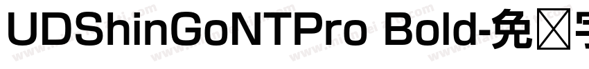 UDShinGoNTPro Bold字体转换